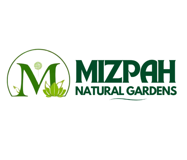 Creative Agency in Ghana