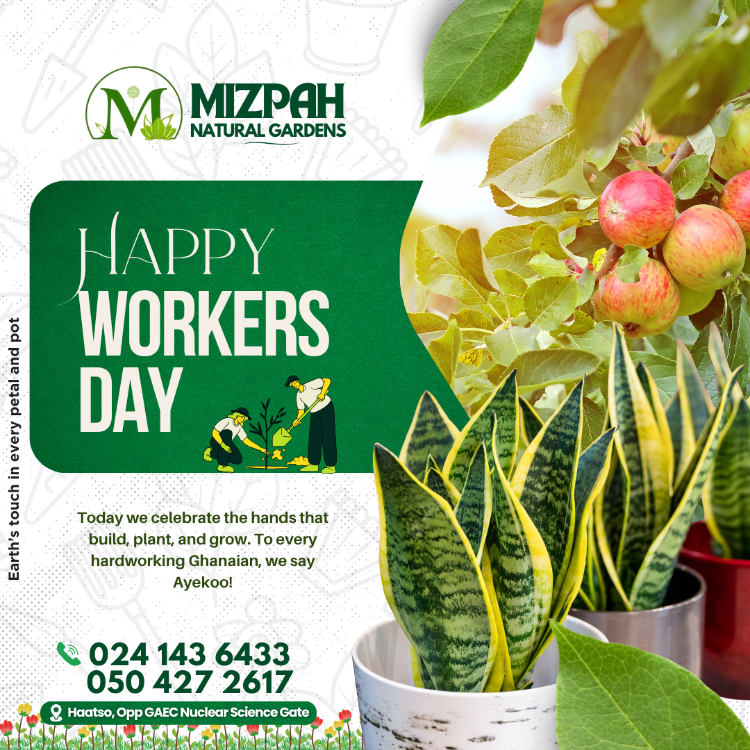 Mizpah social media work