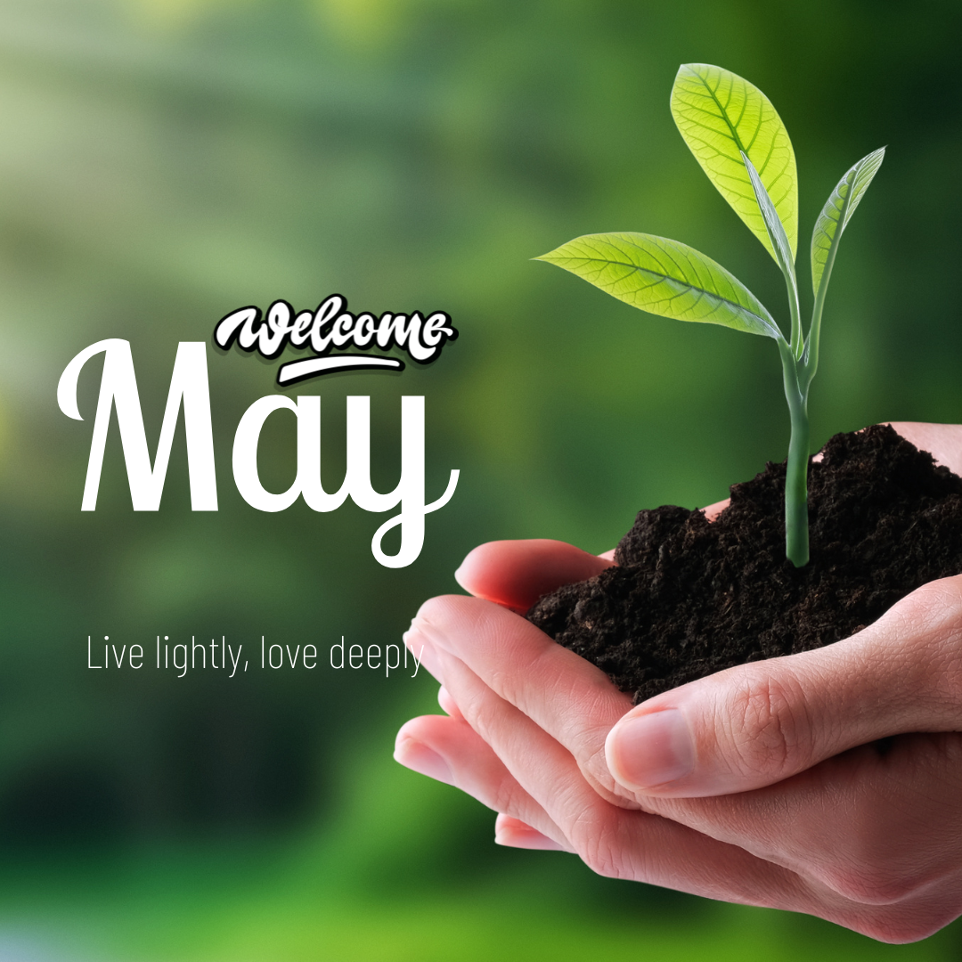 Mizpah Naturals social media design