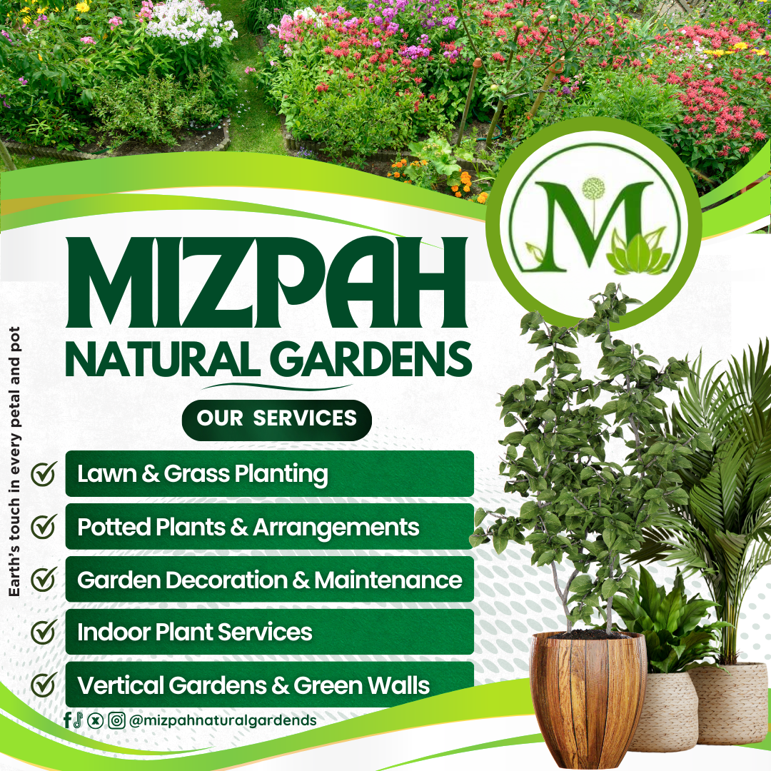 Mizpah Naturals campaign